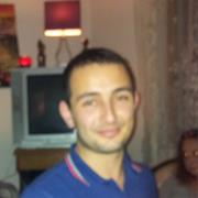 Turkse Hippe Tapijtvogel