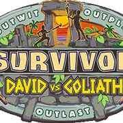 Survivor David vs. Goliath