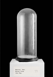 Notes From the Fog (Ben Marcus)