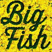 Big Fish