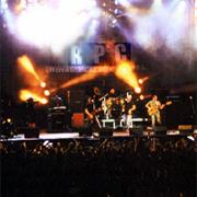 Royal Playboy Cartel