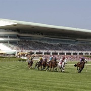 Arlington International Racecourse, Arlington Heights, IL