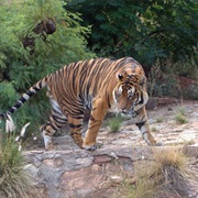Pretoria Zoo