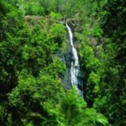 Kondalilla National Park (QLD)