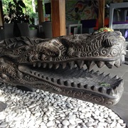 The Hundry Crocodile