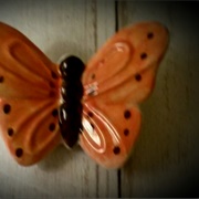 Painted Butterfly Angelina Jensen