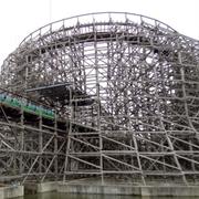 Regina (Tobu Zoo, Japan)