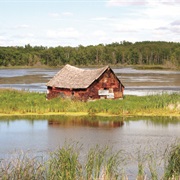 Wakopa Wildlife Management Area, North Dakota