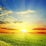 Write a Life Dream Down Each Day