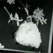 Suzy Snowflake (1951)