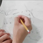 Draw Unicorns on Everything