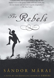 The Rebels (Sándor Márai)