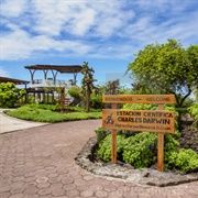Charles Darwin Research Station, Galápagos Islands