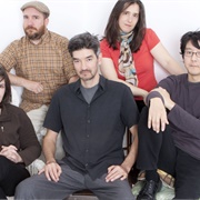 The Magnetic Fields