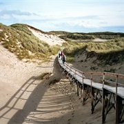 Amrum