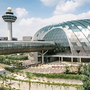 Singapore Changi Airport