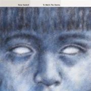 Steve Hackett - To Watch the Storms