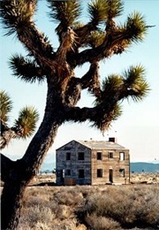 Survival City (1955)