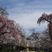 Wilmington State Park - Brandywine Park