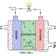 Fuel Cell