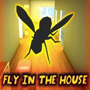Fly in the House