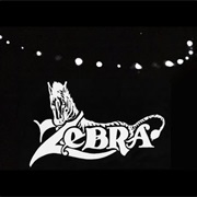 Zebra - Who's Behind the Door?