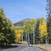 Take a Scenic Drive Up to Snowbowl Rd