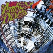 The Amboy Dukes
