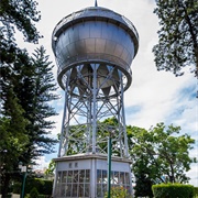 Bola De Agua, Celaya