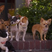 Papi Jr., Lala, Rosa, Ali and Pep