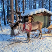 Lapland, Finland