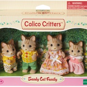 Sandy Cat Family