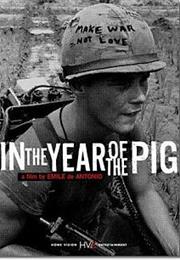 In the Year of the Pig