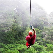 Cloud Forest Zipline