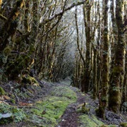 Kirwan's Reward Circuit