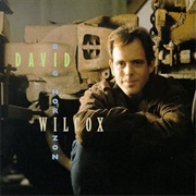 David Wilcox - Big Horizon