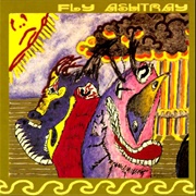 Fly Ashtray - Tone Sensations of the Wonder Men