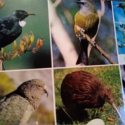 Wellington, New Zealand