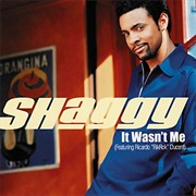 It Wasn't Me - Shaggy Ft. Ricardo 'Rikrok' Ducent