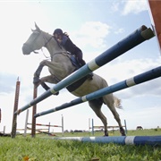 Complete a Horse Jumping Obstacle