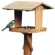 Bird Table