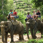 Elephant Trek Phuket