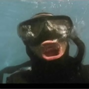 Algo – Los Tipitos (2004)