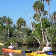 Waccasassa Bay Preserve State Park, Florida