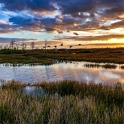 Everglades National Park, Florida