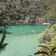 Trekking Through Abel Tasman NP, New Zealand