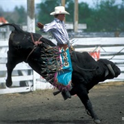 Bull Riding in Mexico