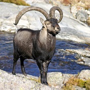 Sierra De Cazoria, Segura Y Las Villas NP, Spain