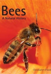 Bees: A Natural History (Christopher O'Toole)