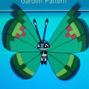 Garden Vivillon